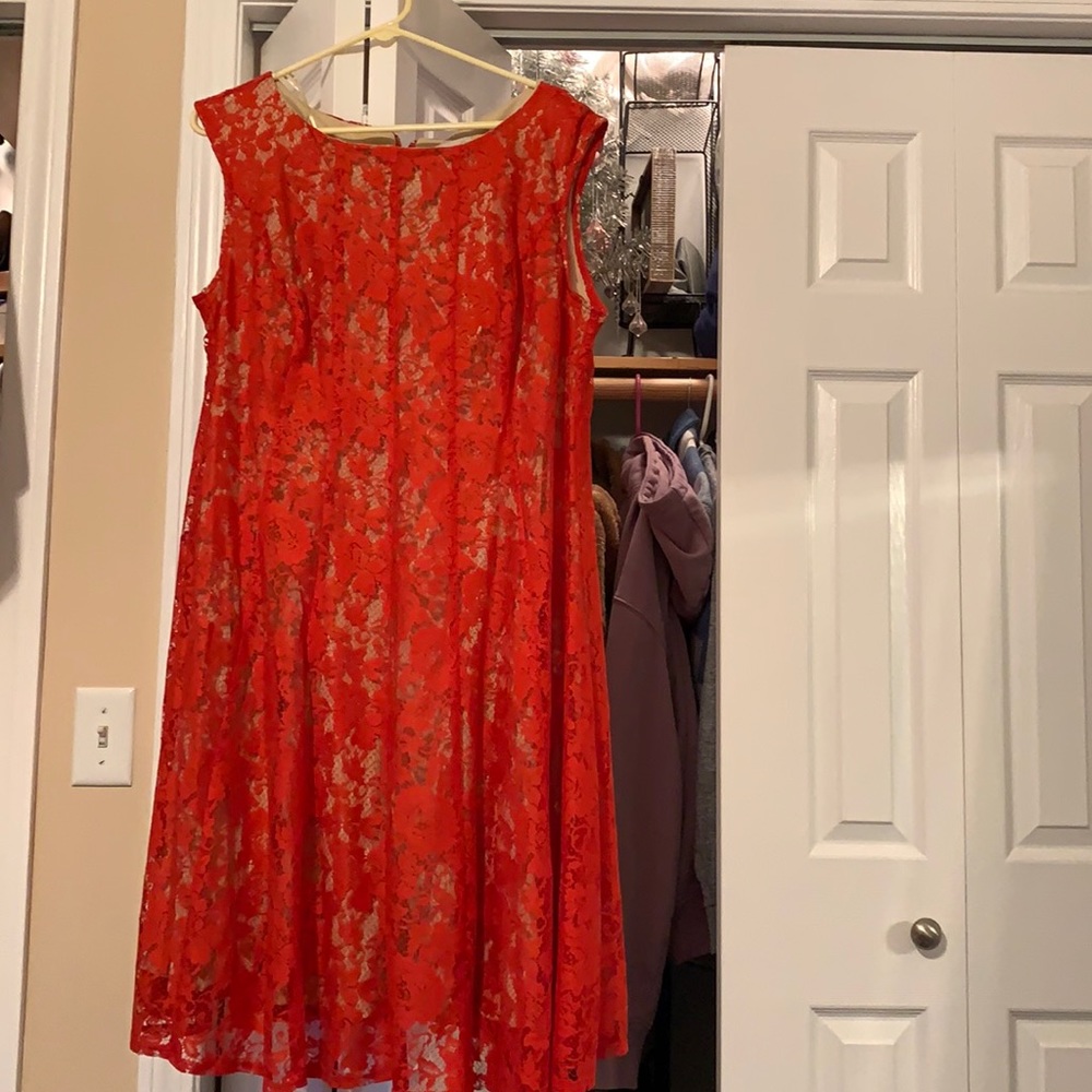 DressBarn Knee Length Lace Overlay Dress